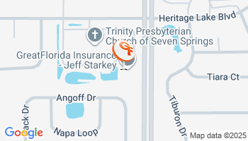 New Port Richey, FL Renter's Insurance Agency